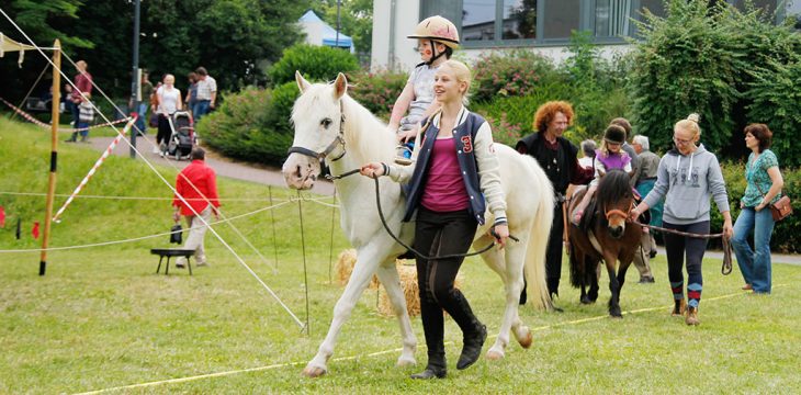 Pony, Kaninchen & Co
